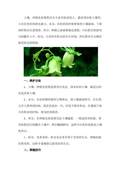 党参的养殖方法和注意事项