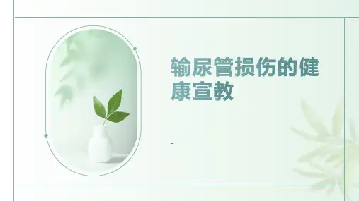 输尿管损伤的健康宣教