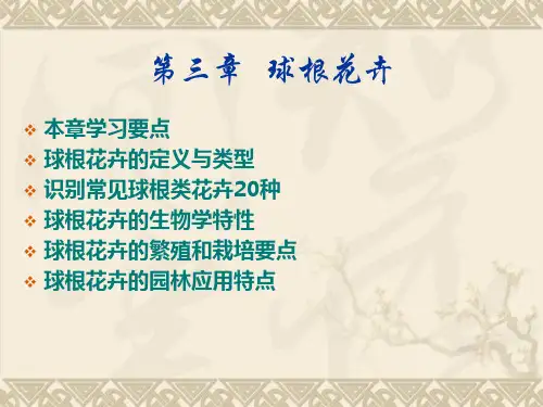 9第九章 球根花卉