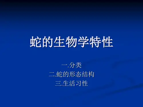 蛇.ppt