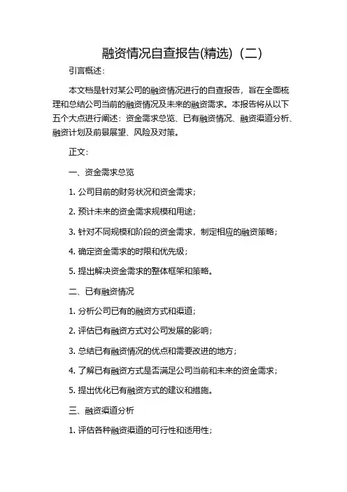 融资情况自查报告(精选)(二)