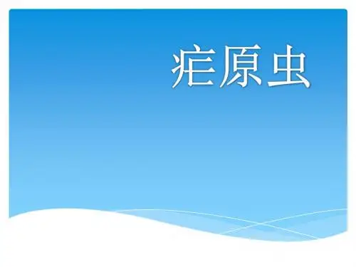 疟原虫