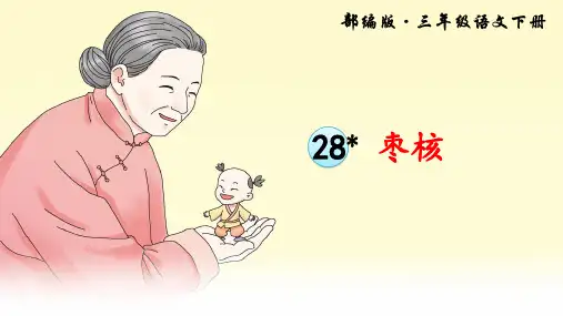 统编人教版三年级语文下册第28课《枣核》优质课件