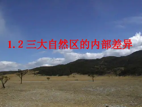 三大自然区的内部差异地理课件PPT