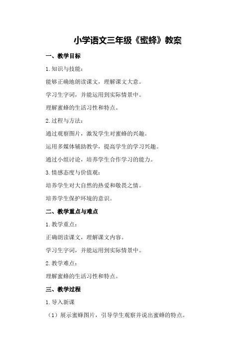 小学语文三年级《蜜蜂》教案