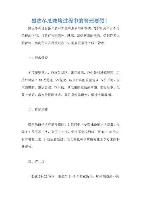 黑皮冬瓜栽培过程中的管理要领!