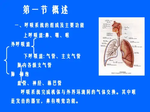 人体解剖生理学： 第九章 呼吸系统_PPT课件