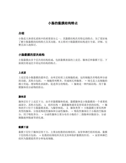 小肠的黏膜结构特点