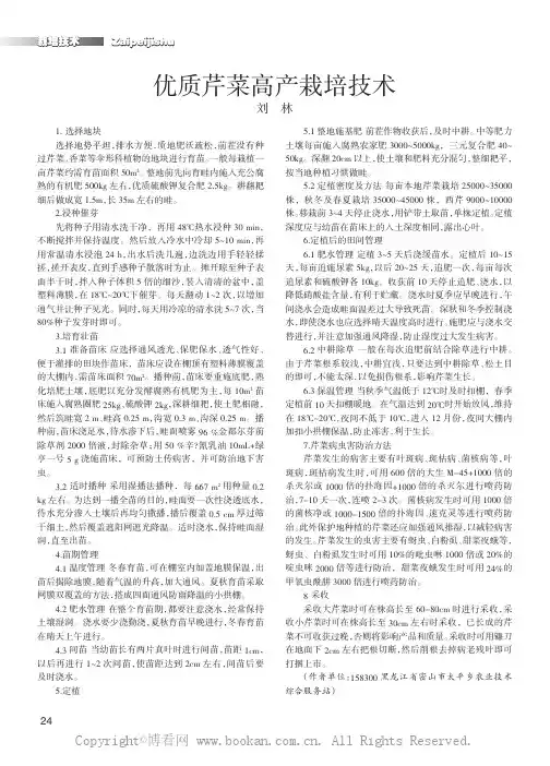 优质芹菜高产栽培技术