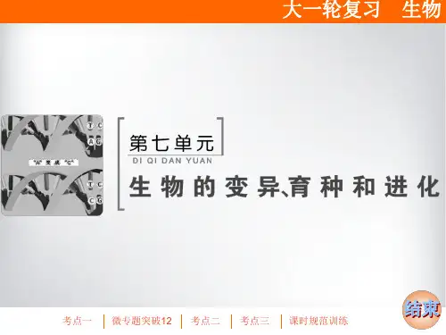 高三生物一轮复习课件 染色体变异与育种