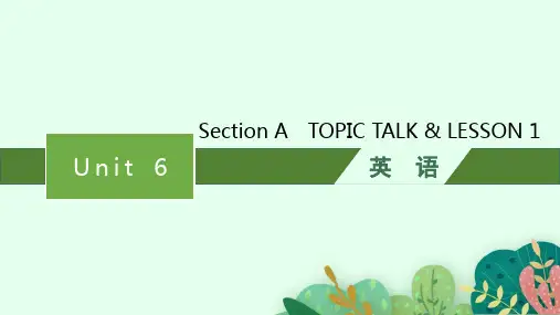 北师大版高中英语学案必修第二册精品课件 UNIT 6 THE ADMIRABLE Section A