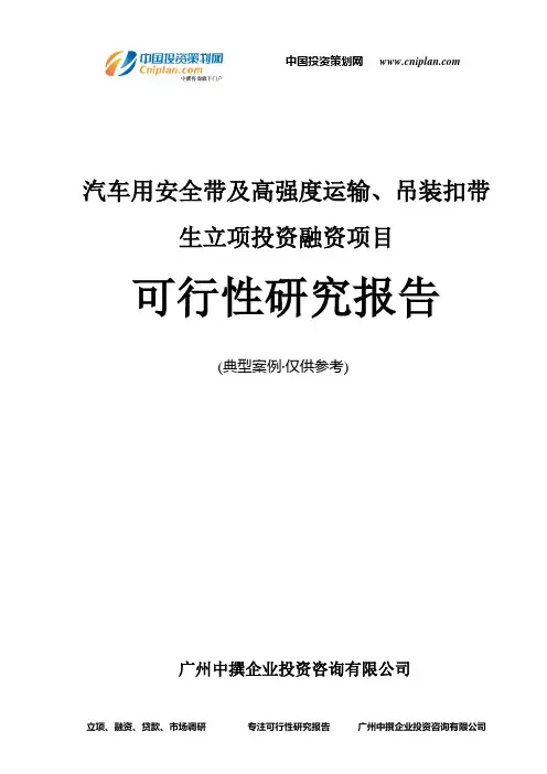 汽车用安全带及高强度运输、吊装扣带生融资投资立项项目可行性研究报告(中撰咨询)