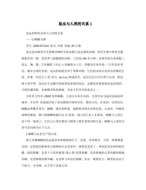 昆虫与人类的关系1
