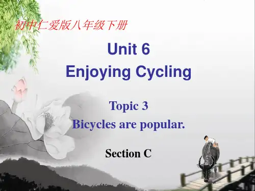仁爱英语初中八年级下册Unit6 Topic 3 Section C课件
