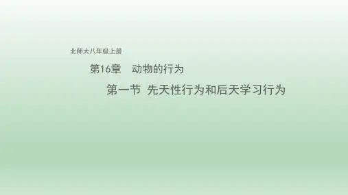 北师大版八年级生物上册：1 先天性行为和后天学习行为  课件