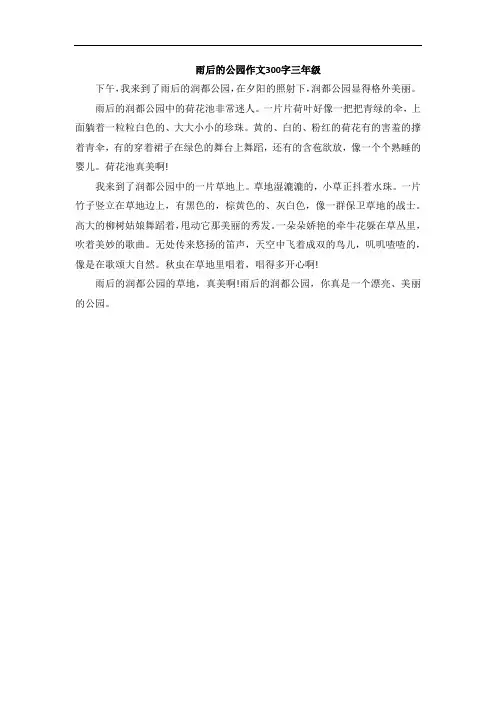 雨后的公园作文300字三年级