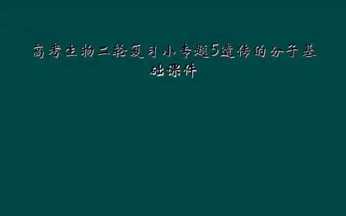 高考生物二轮复习小专题5遗传的分子基础课件