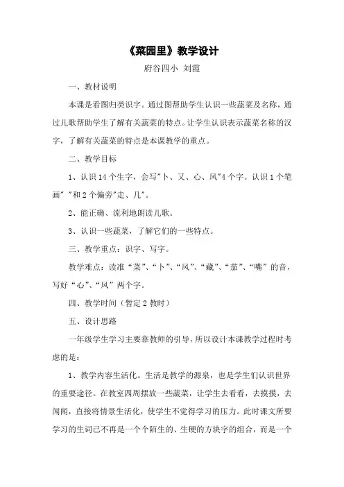菜园里教案