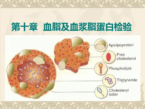 生物化学与检验10