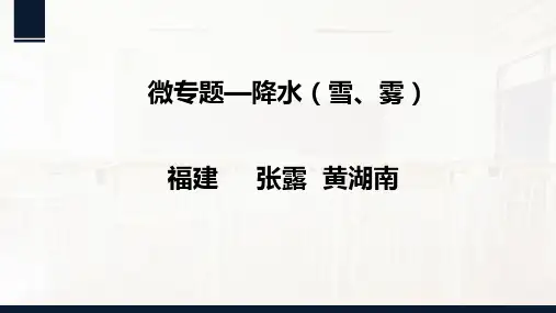 高中地理：微专题—降水 (共17张PPT)