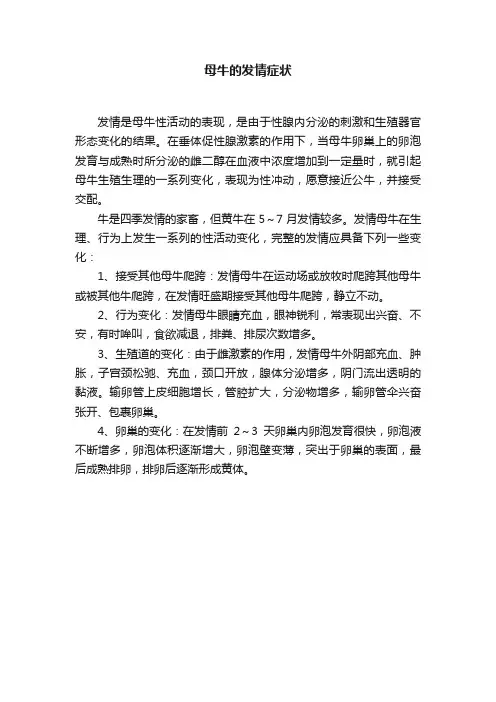 母牛的发情症状