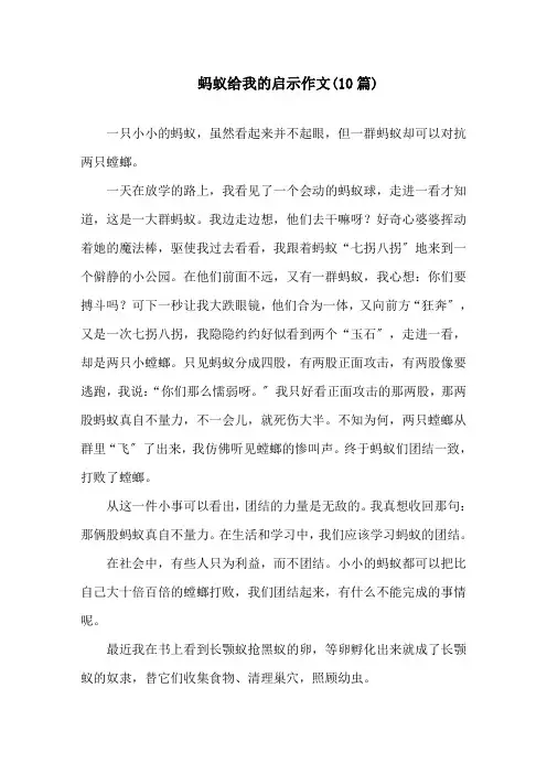 蚂蚁给我的启示作文(10篇)精选