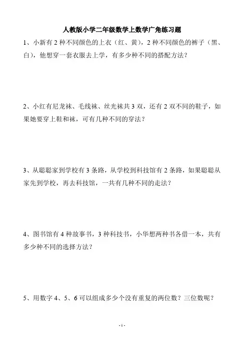 人教版二年级数学上册数学广角《搭配》练习题