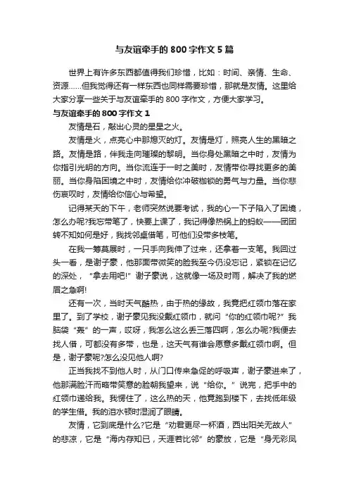 与友谊牵手的800字作文5篇