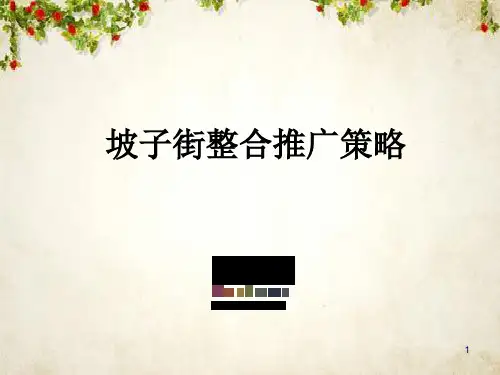 长沙某街道整合推广策略(ppt 62页)