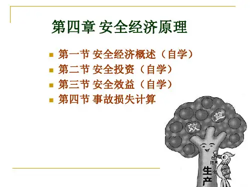 第四章 安全经济原理