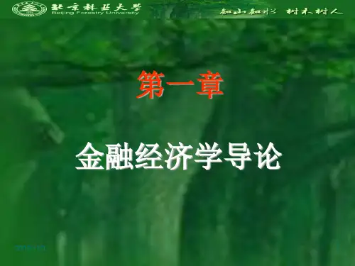 第一章金融经济学导论
