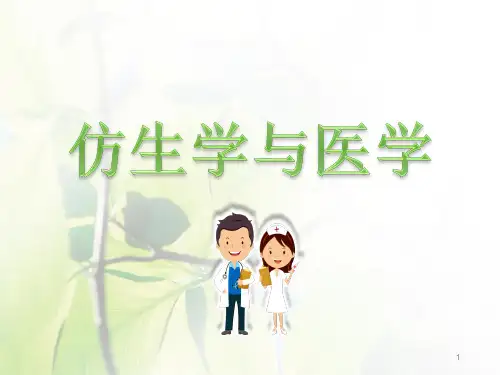 仿生学PPT课件