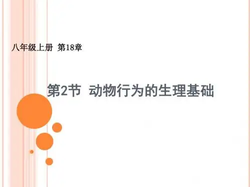 动物行为的生理基础