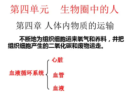 新人教版七年级生物下册 第四单元 生物圈中的人 第四章_人体内物质的运输_ 复习课件