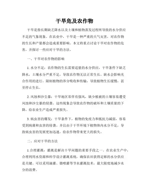 干旱危及农作物
