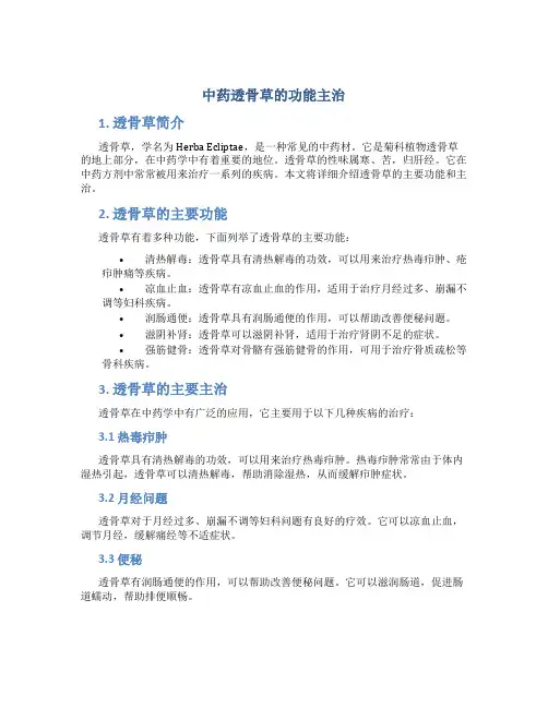 中药透骨草的功能主治