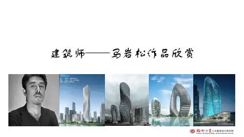 建筑师——马岩松作品欣赏(12.05)