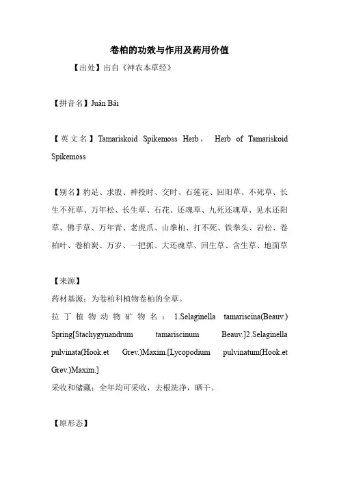 卷柏的功效与作用及药用价值