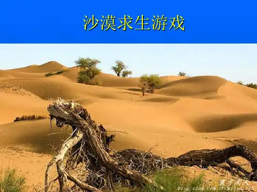 沙漠求生游戏(无领导小组讨论)