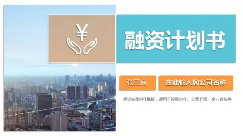 商务创业融资项目商业计划书ppt通用模板