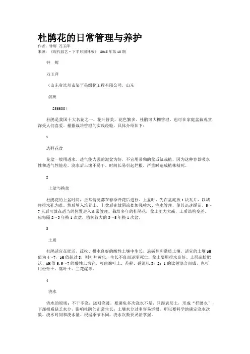 杜鹃花的日常管理与养护