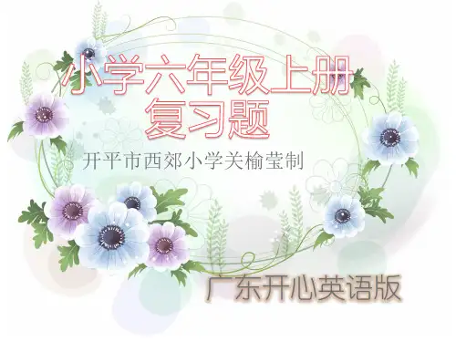 小学英语六年级上册开心英语总复习练习题