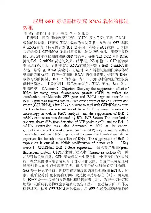 应用GFP标记基因研究RNAi载体的抑制效果.doc