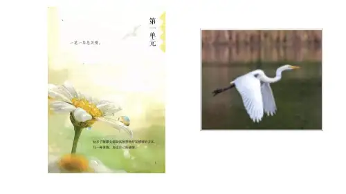 部编版五年级上册语文《落花生》共两课时教学课件