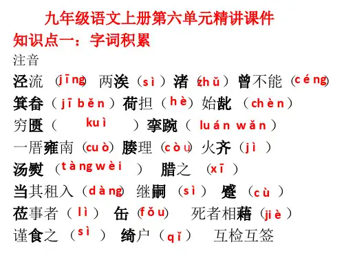 初中语文语文版九年级上册第六单元精讲课件