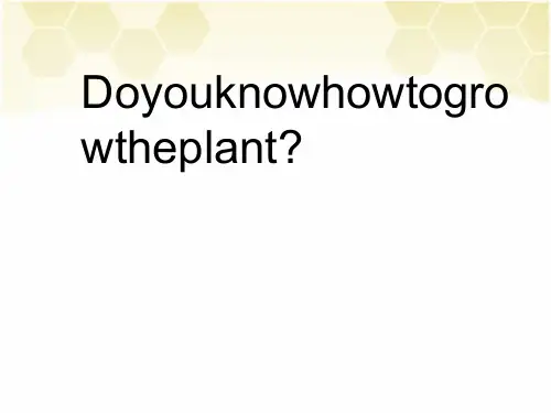 袁隆平的英文简介[优质ppt]