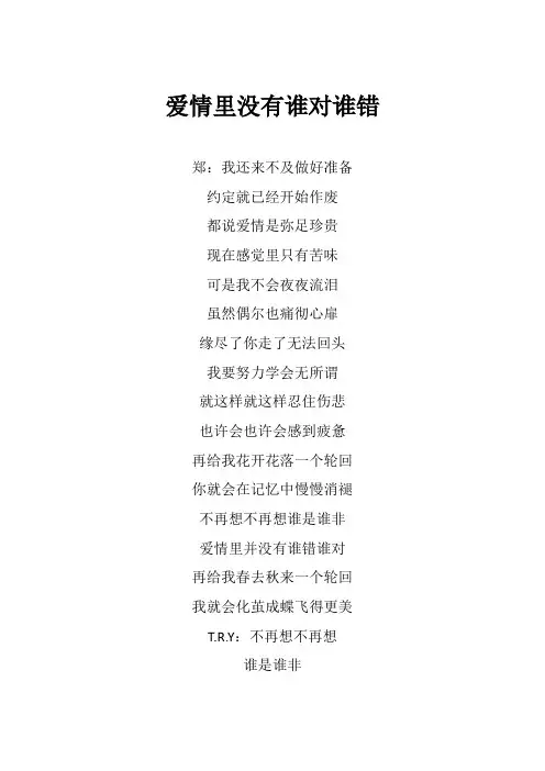 郑源《爱情里没有谁对谁错》歌词(专辑：源情歌)