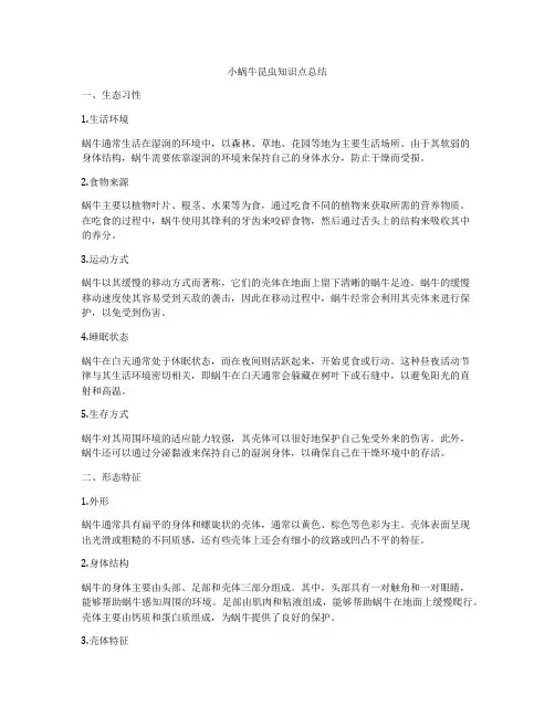 小蜗牛昆虫知识点总结