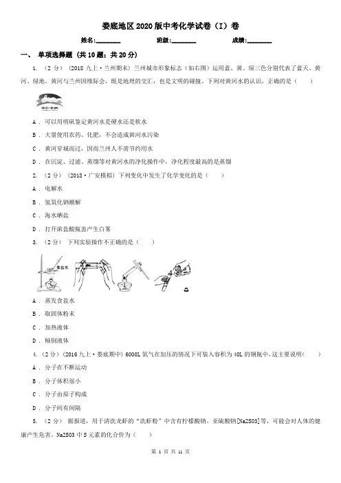 娄底地区2020版中考化学试卷(I)卷