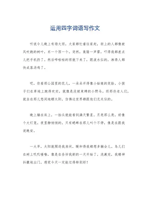运用四字词语写作文